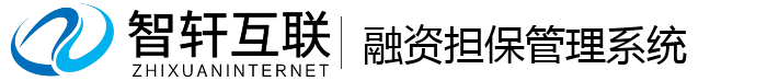 融资担保系统